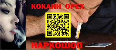 дмт Кохма