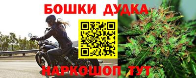 МДПВ Котовск