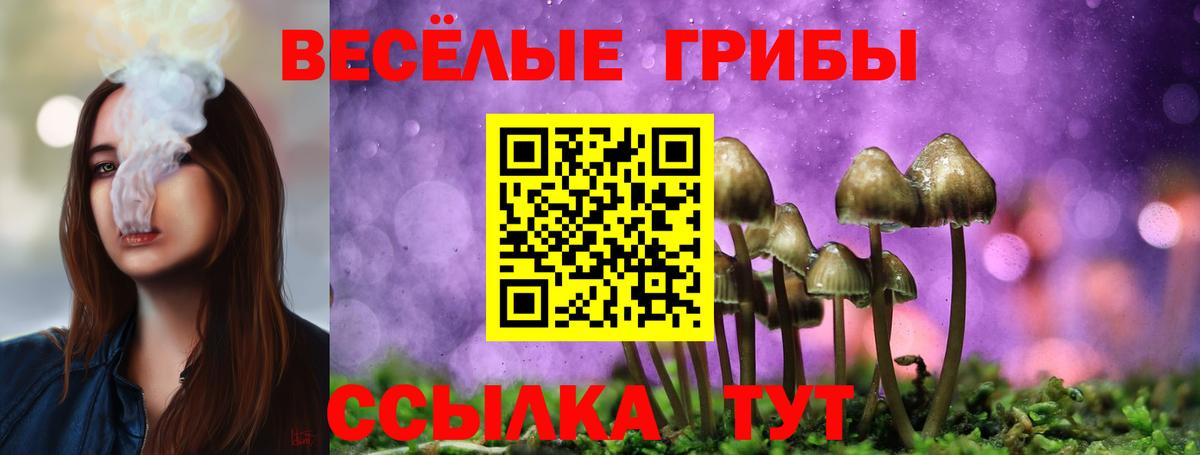 Псилоцибиновые грибы MAGIC MUSHROOMS  как найти закладки  Воронеж  Галлюциногенные грибы мицелий  Вход с VPN 